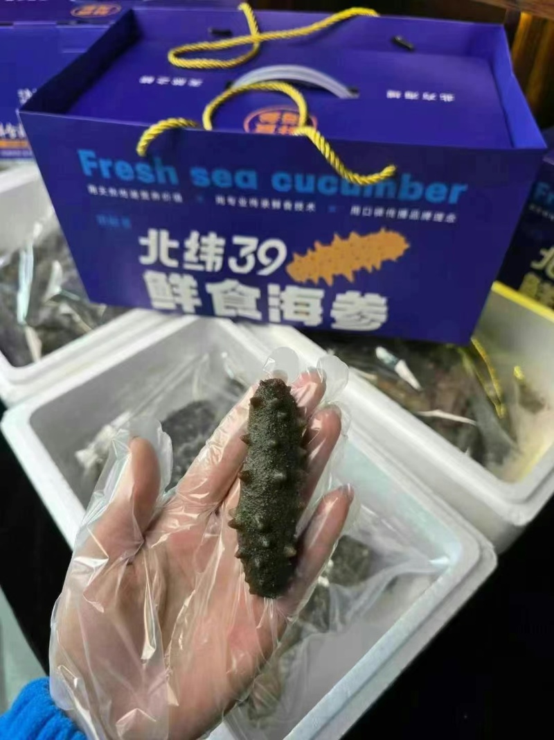即食海参2.2只