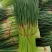 电商**:沂蒙山鲜蒜薹新鲜上市。**，电商，商超。7毛钱一斤