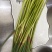 电商**:沂蒙山鲜蒜薹新鲜上市。**，电商，商超。7毛钱一斤