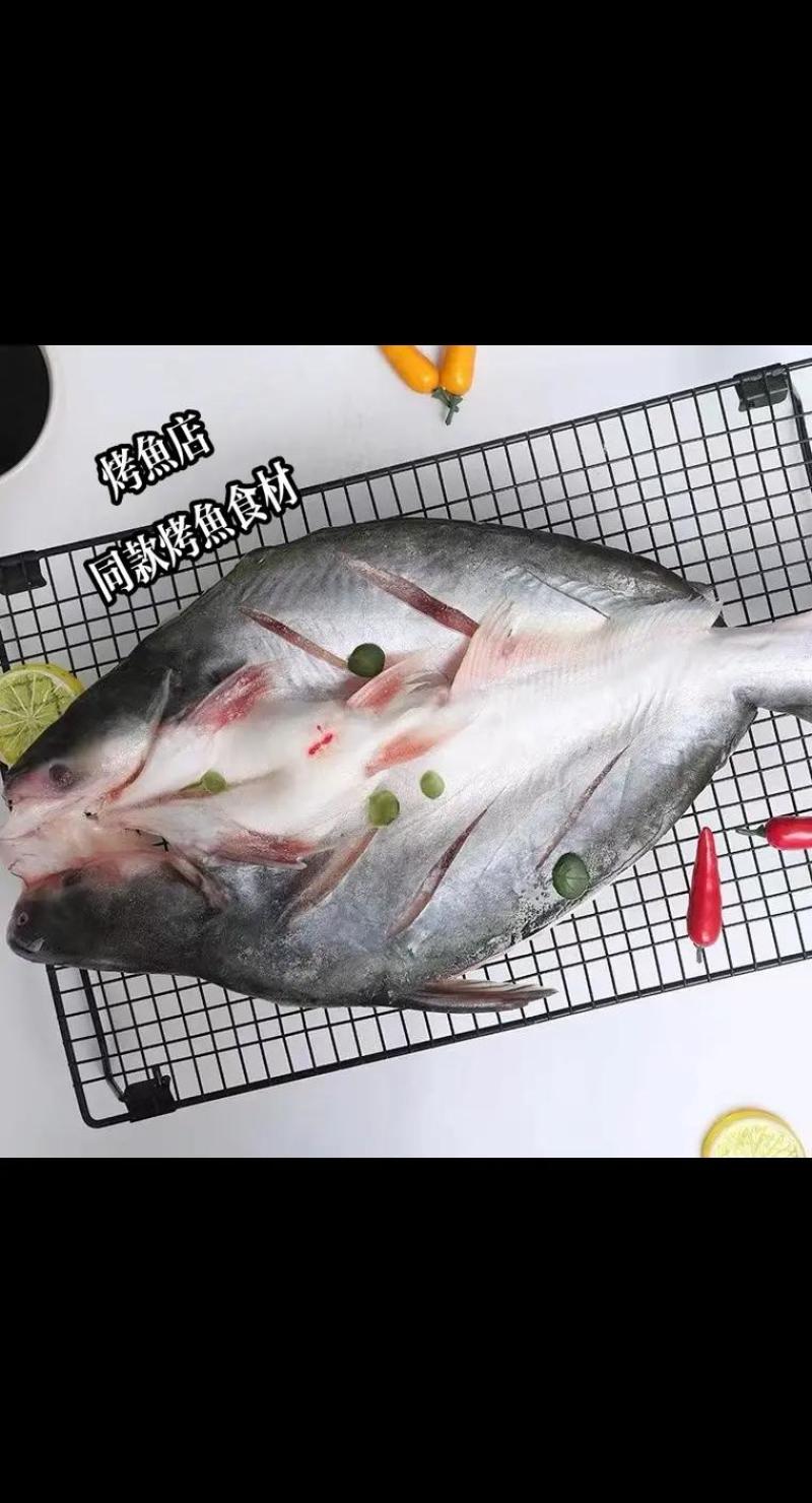 腌制开背巴沙鱼，蒜香口味，免洗免处理，开袋直接烤制厂家直销量