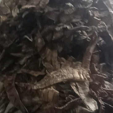 江西烟筝干
