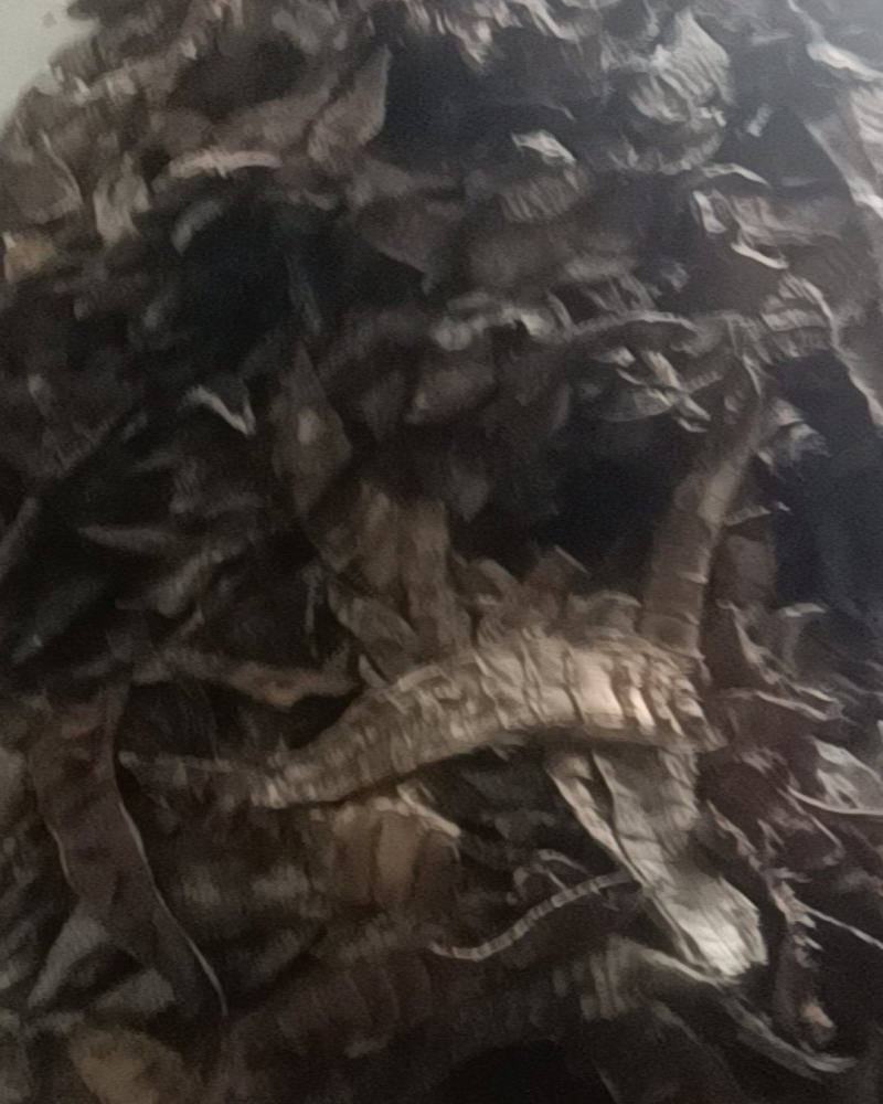 江西烟筝干
