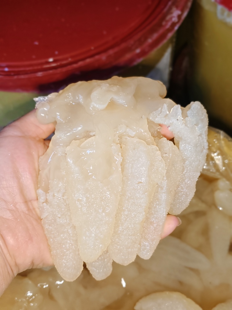 海蜇