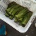 贵州野生蕨菜批发青撅