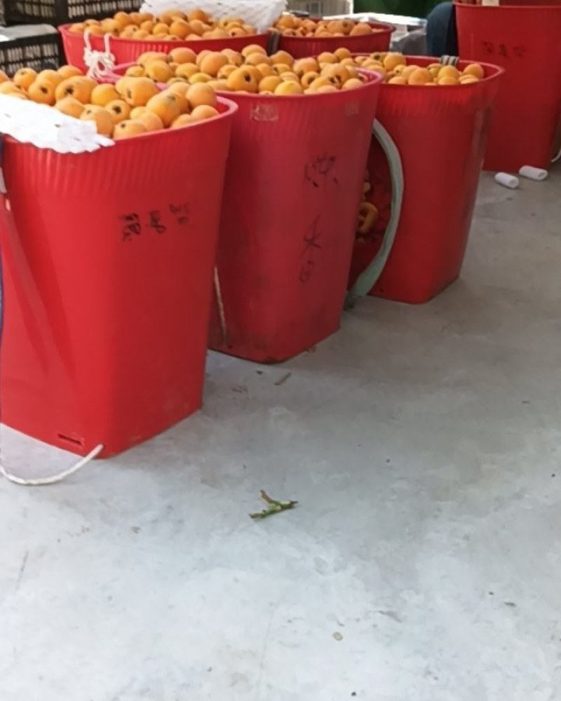 批把