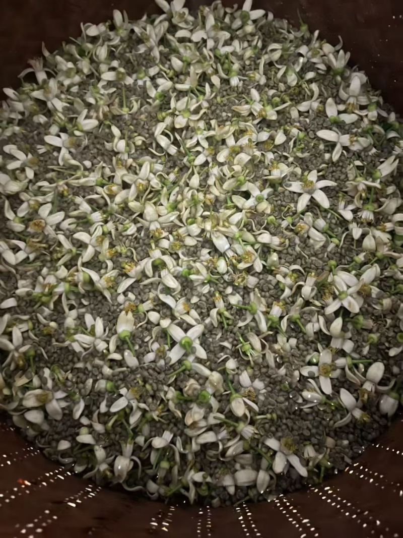 柚子花窨制咖啡豆（3遍窨制一年一次）