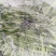 鸡毛菜