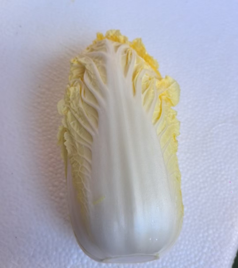 白菜大娃娃菜