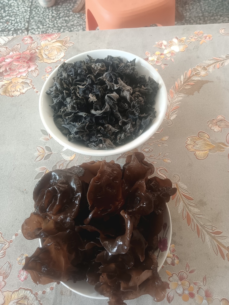 蔚州门外汉黑木耳，农户自产自销