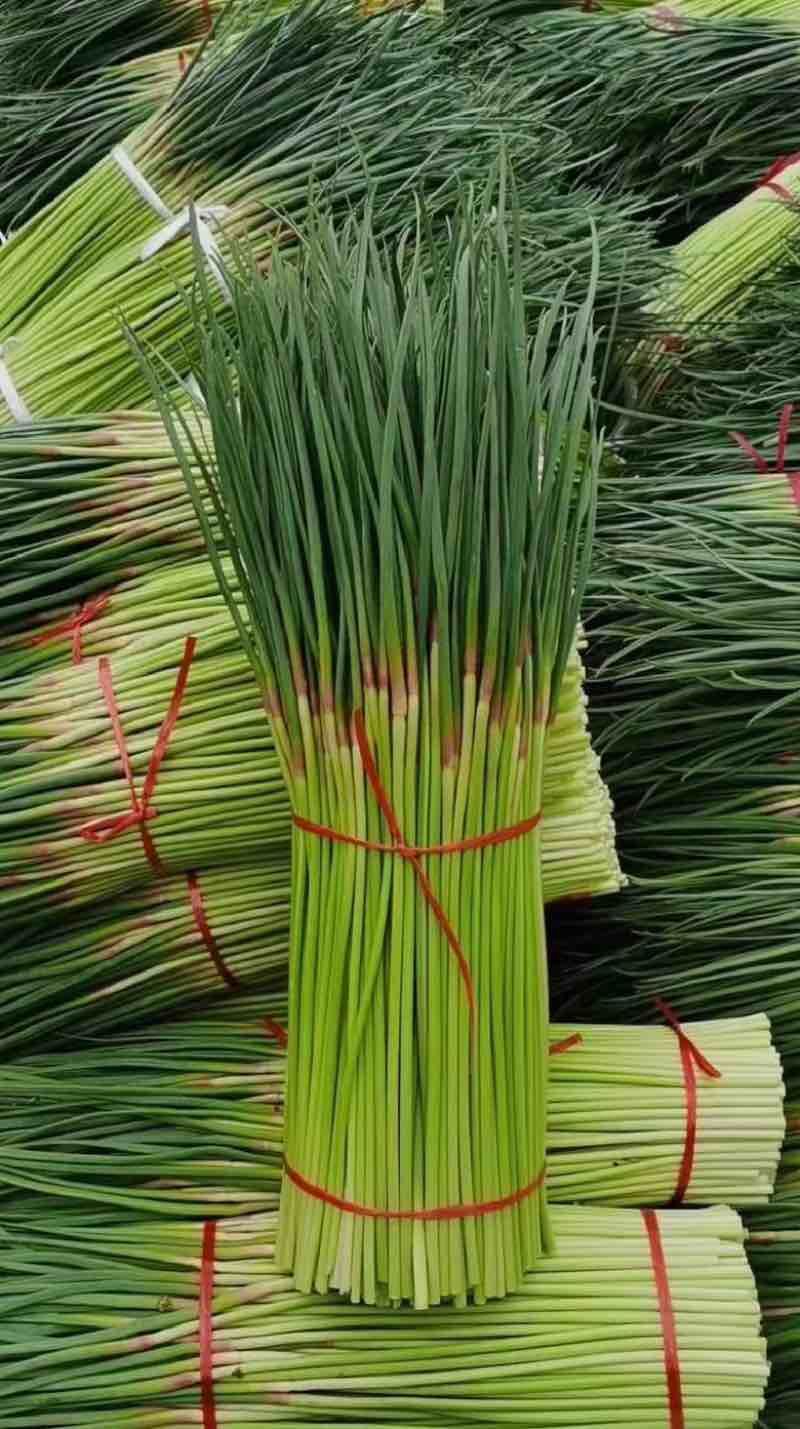 电商**:沂蒙山鲜蒜薹新鲜上市。**，电商，商超。几毛钱一斤