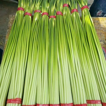 电商**:沂蒙山鲜蒜薹新鲜上市。**，电商，商超。几毛钱一斤