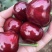 大连大樱桃🍒🍒🍒