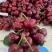 大连大樱桃🍒🍒🍒