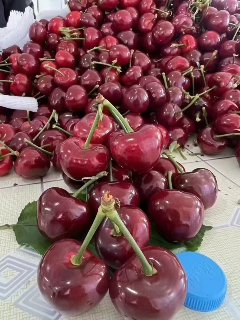 大连大樱桃🍒🍒🍒