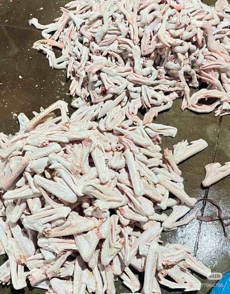 潮汕生鲜狮头鹅翅现杀冷冻生鹅翅卤味食材