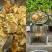 福建漳州平和蜂场直供，土蜂蜜荔枝蜜18元一斤，量大价优