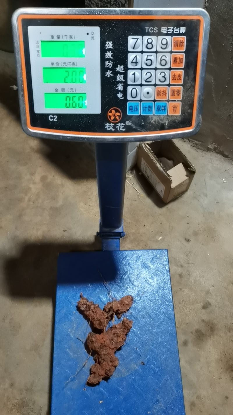 ***野生的土茯苓价格美丽随时有货