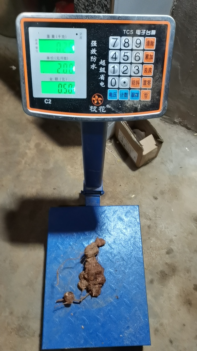 ***野生的土茯苓价格美丽随时有货
