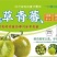 冰草小番茄