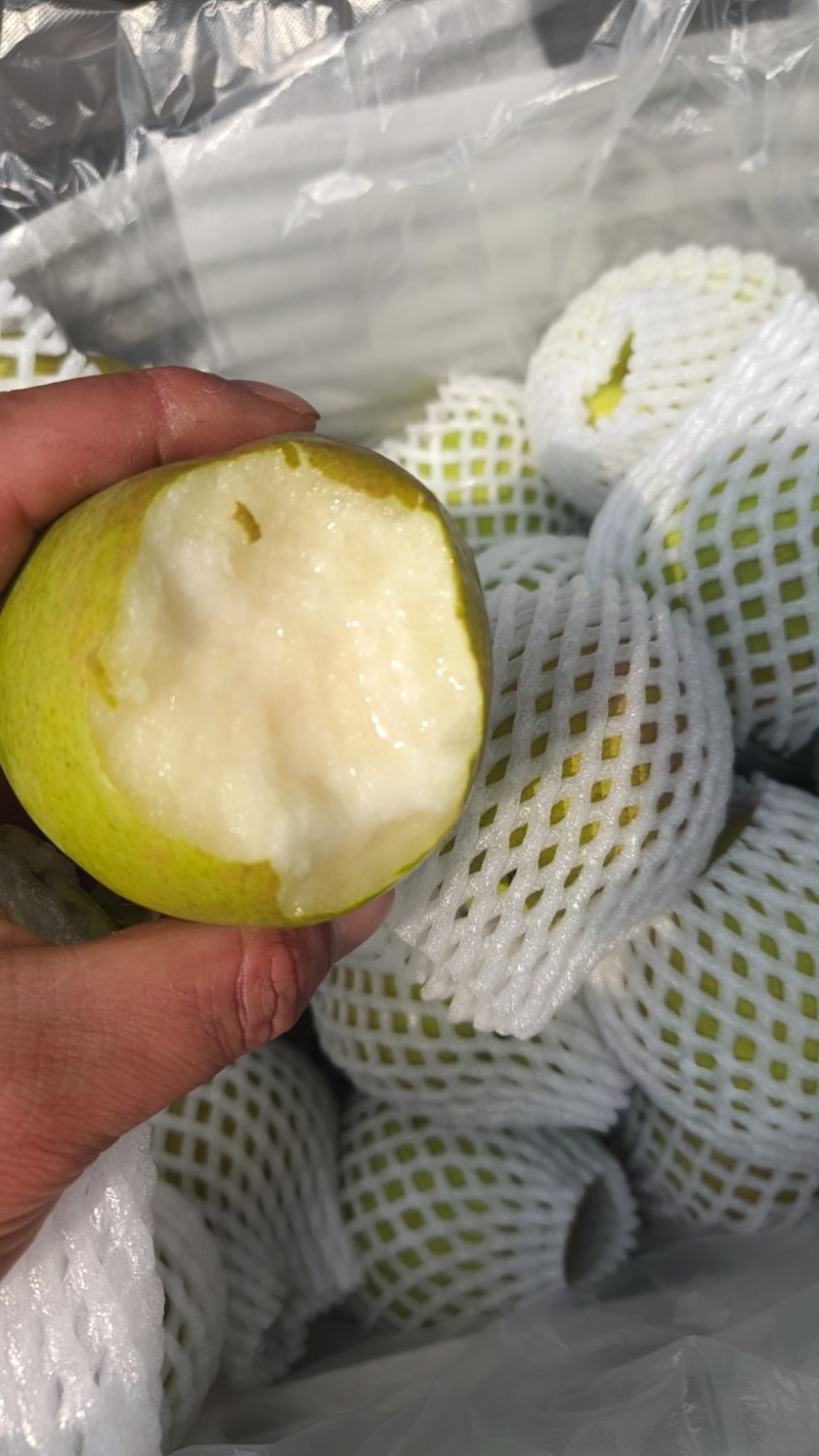 玉露香梨