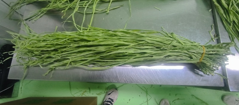 烘干品质干贡菜