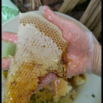 土蜂蜜