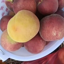 黄桃