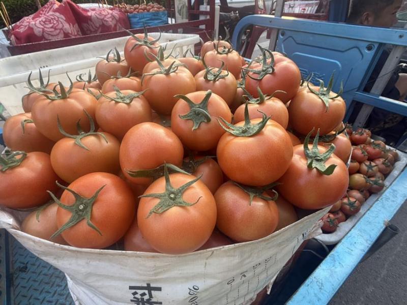 西红柿