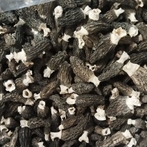羊肚菌干货