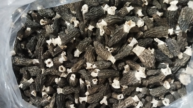 羊肚菌干货