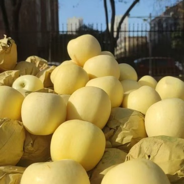 现货洛川奶油糖心富士，通货70起步，18000斤想走批发