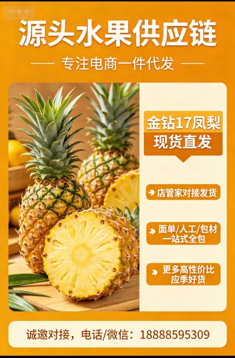 金钻17对接各大平台，市场，电商一件代发欢迎订购