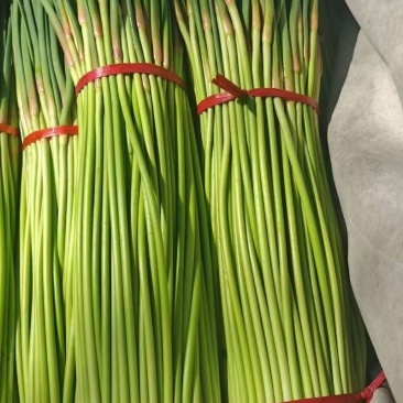 今天（4月18日），沂蒙山蒜薹价格很不错，如果需要，请联系我