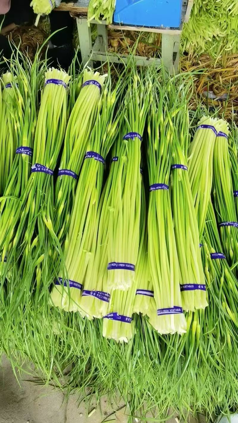今天（4月18日），沂蒙山蒜薹价格很不错，如果需要，请联系我