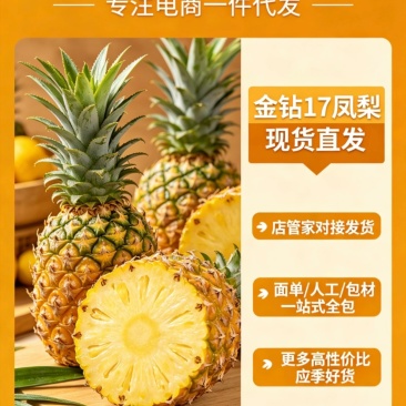 金钻17对接各大平台，市场，电商一件代发欢迎订购