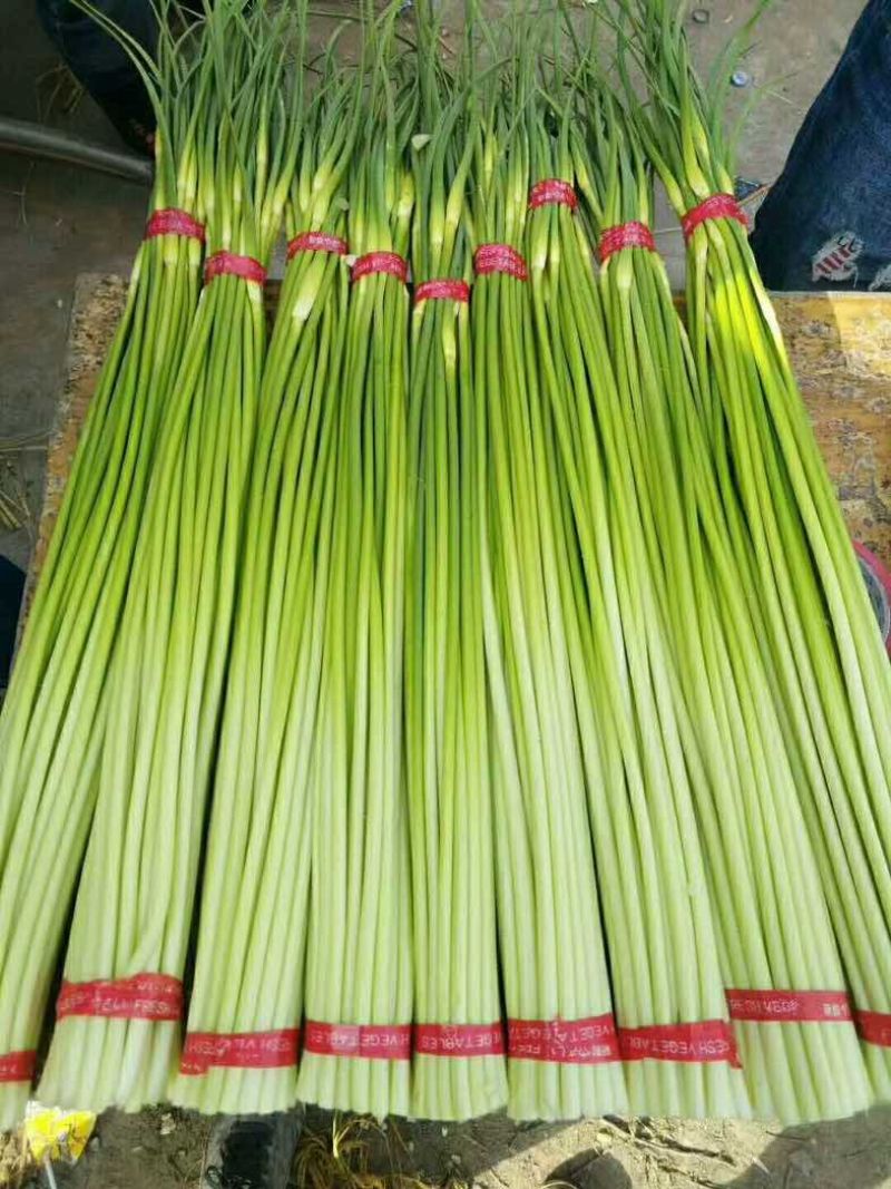 沂蒙山蒜苔