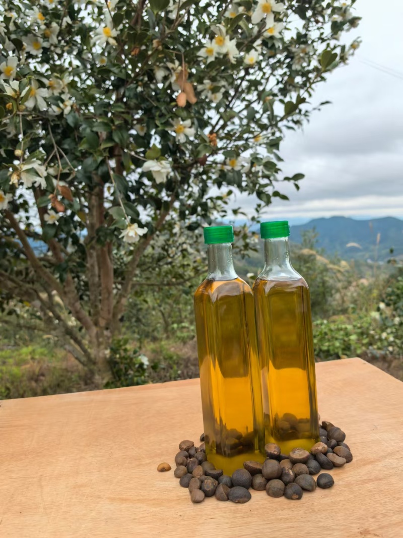 江西山茶油
