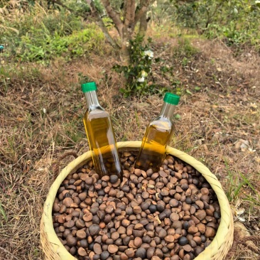 江西山茶油