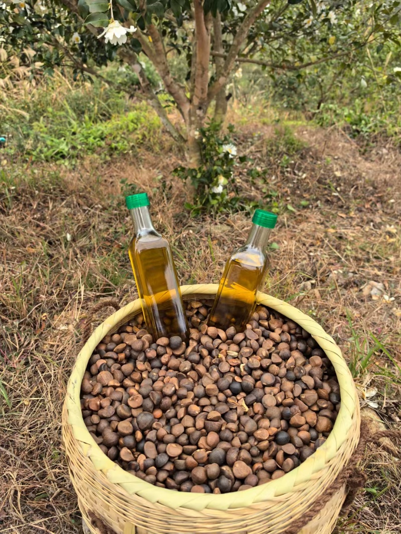 江西山茶油