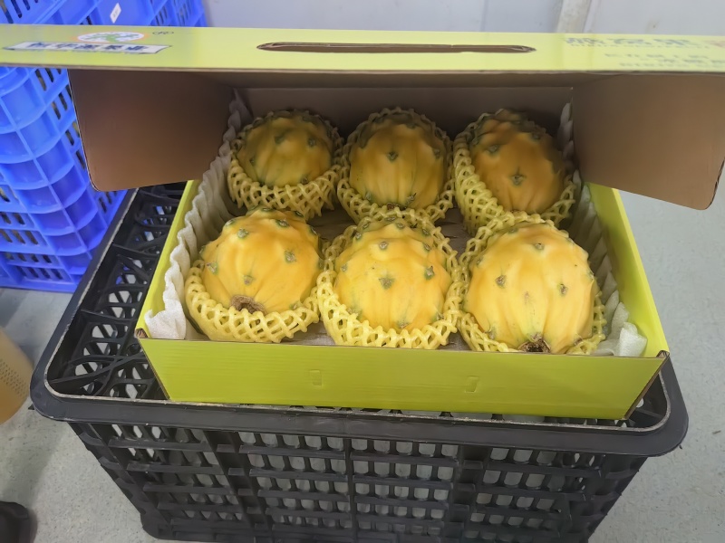 燕窝果，麒麟果