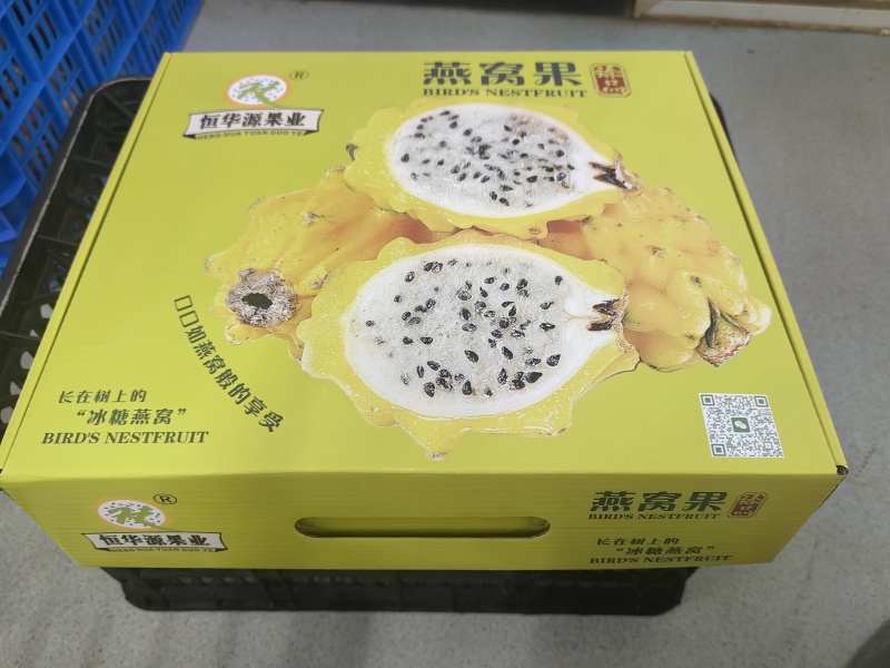 燕窝果，麒麟果