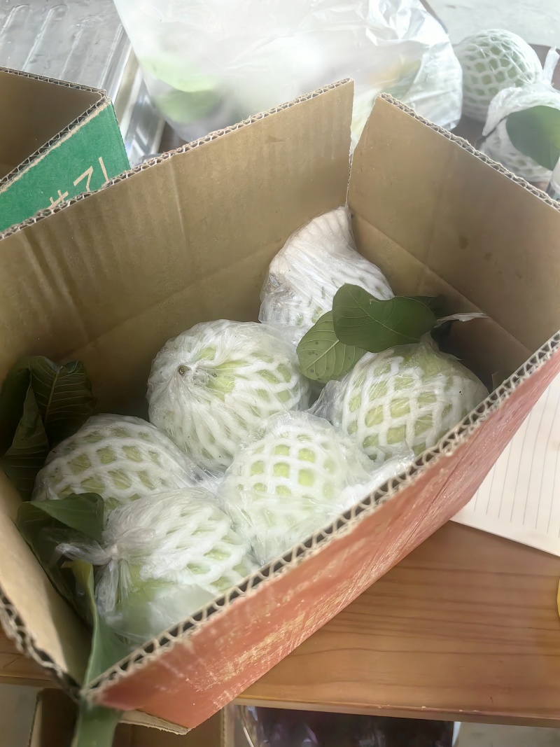 一件代发芭乐,番石榴，