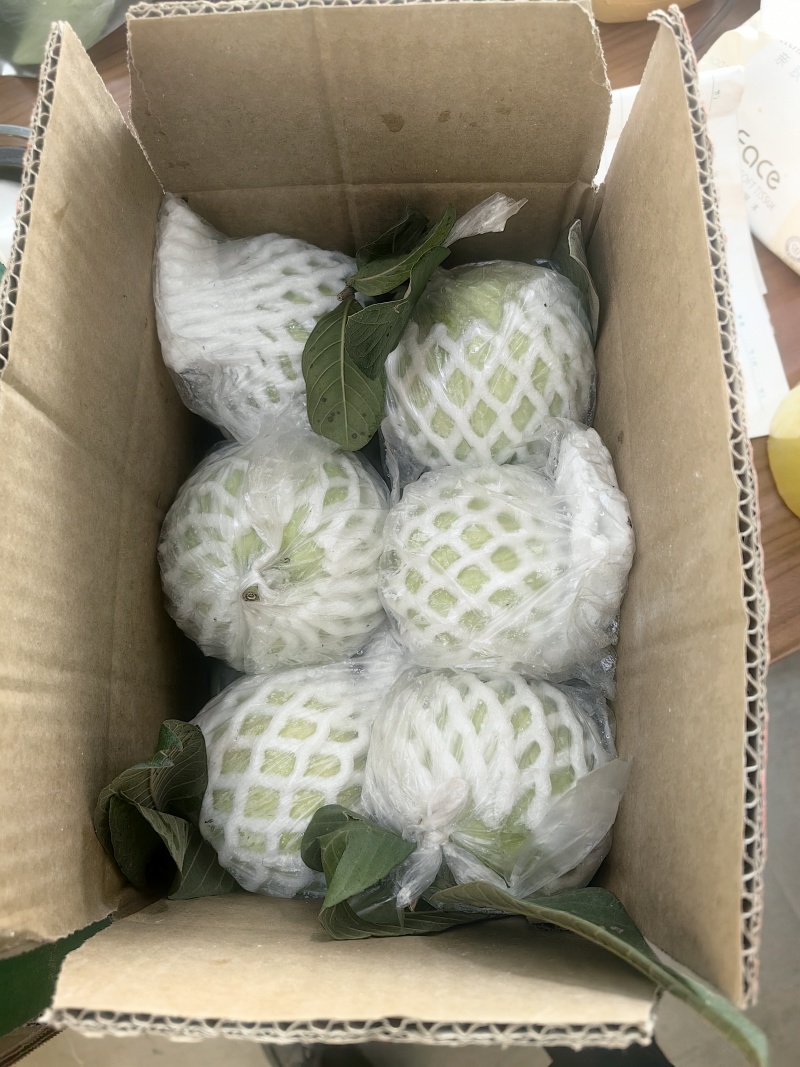 一件代发芭乐,番石榴，