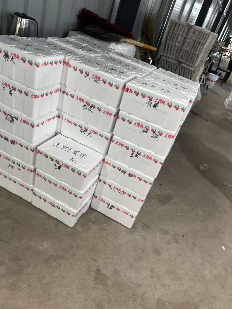 樱桃打包发货现场实拍
