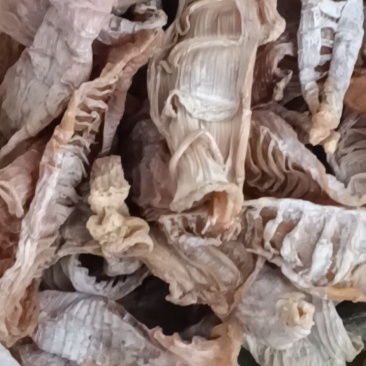干笋