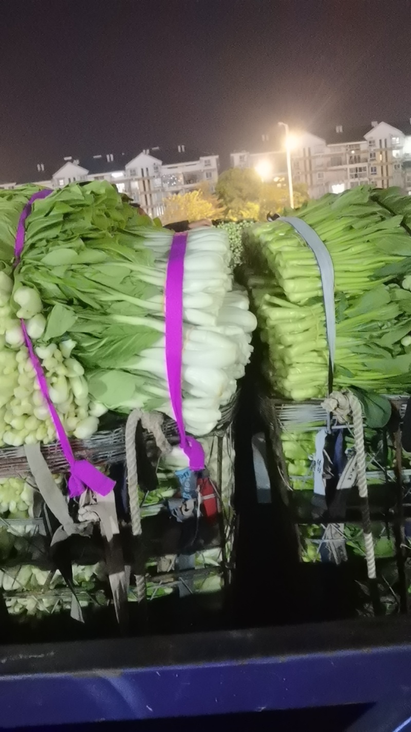 各种叶菜类的都有，价格便宜，质量保证