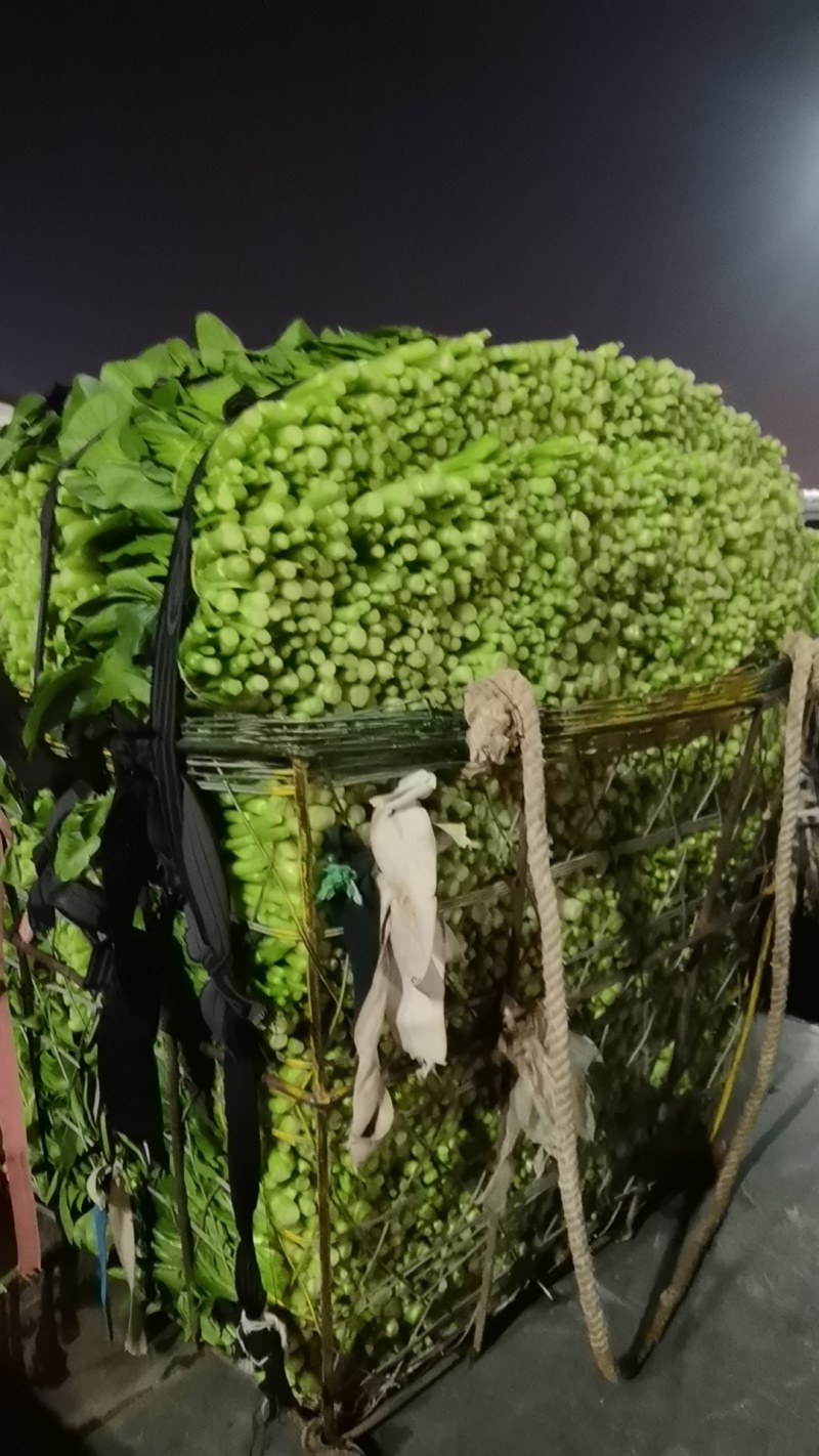 各种叶菜类的都有，价格便宜，质量保证