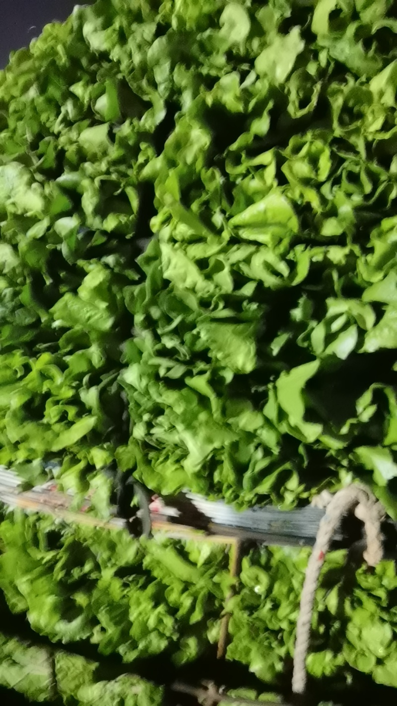 各种叶菜类的都有，价格便宜，质量保证