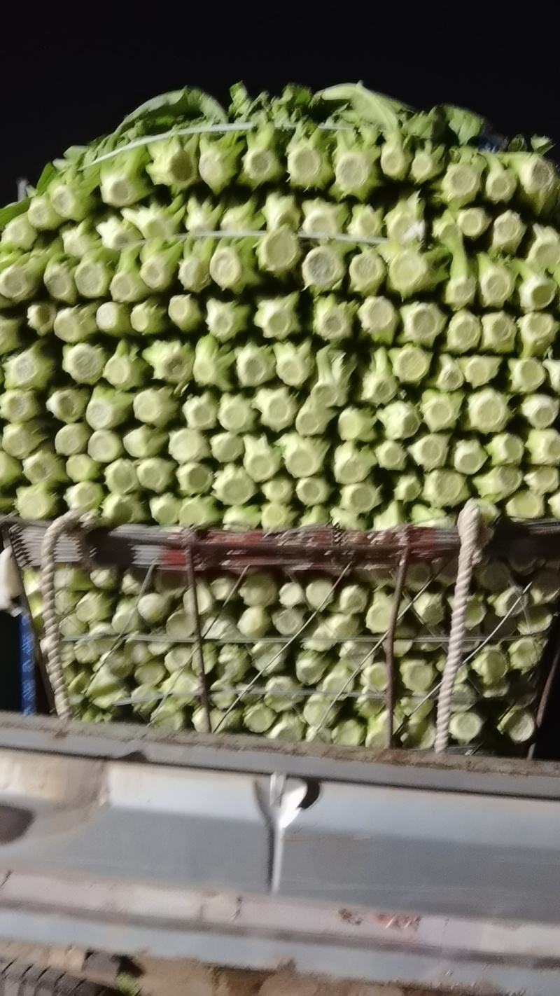 各种叶菜类的都有，价格便宜，质量保证