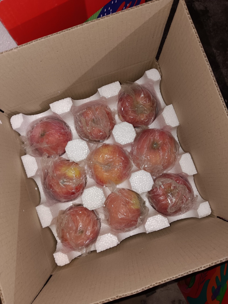 晋南，山西运城纸加膜红富士